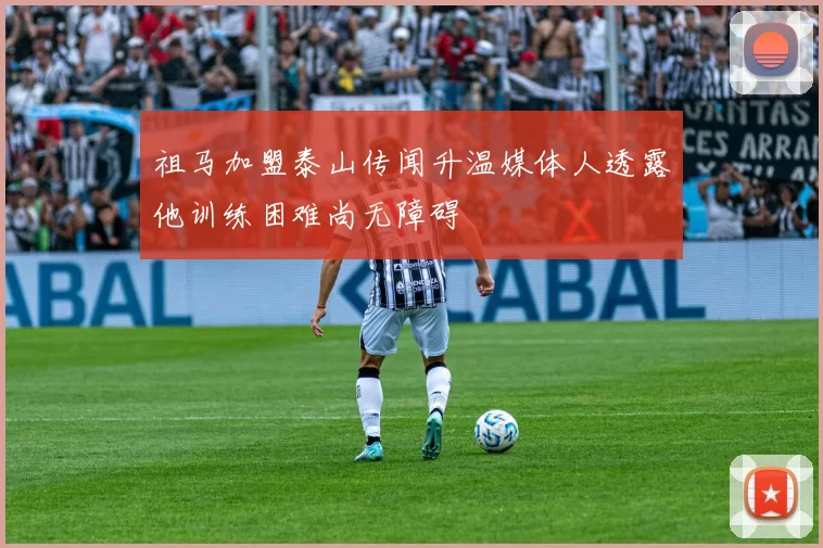 祖马加盟泰山传闻升温媒体人透露他训练困难尚无障碍