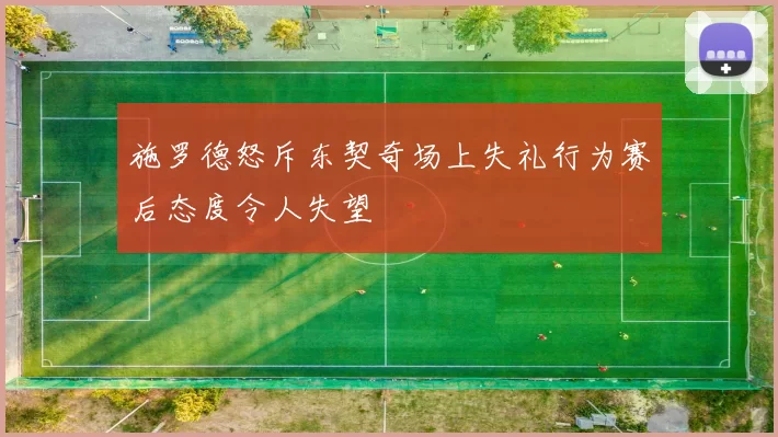 施罗德怒斥东契奇场上失礼行为赛后态度令人失望